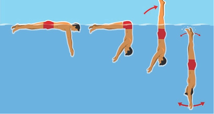 Plongeon canard